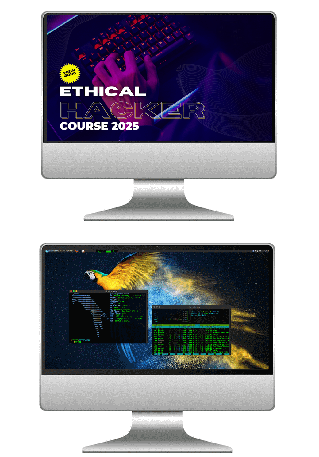 Ethical Hacking Masterclass Course Cardiff