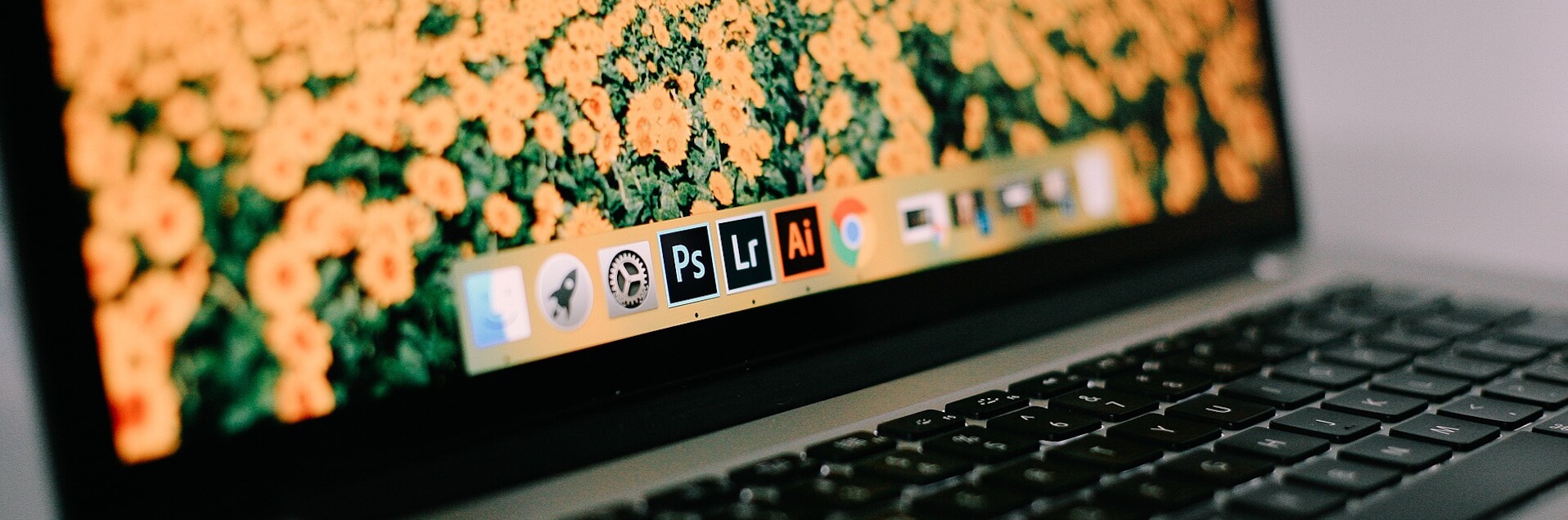 Adobe InDesign Course Cardiff