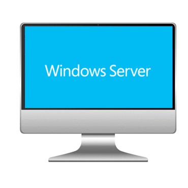 Microsoft Windows Server 2022